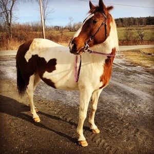 Meet your Posher, Megan